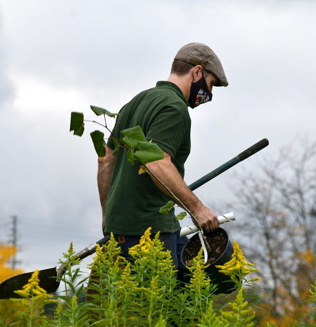 Forestry-min Forestry-min