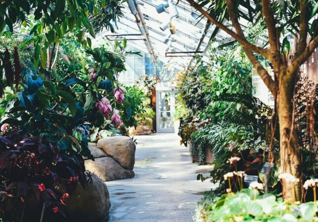 Nurseries Require Cold Storage-min Nurseries Require Cold Storage-min