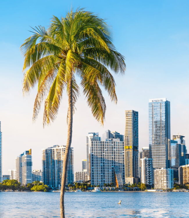 Miami View Miami View