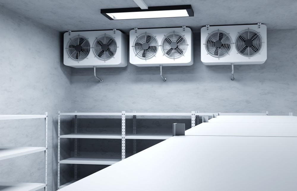 Chill Out Rentals Cooler Interior