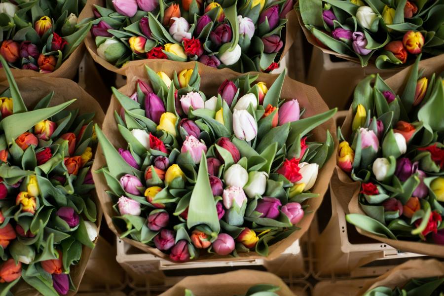 florists-need-cold-storage-chill-out-rentals
